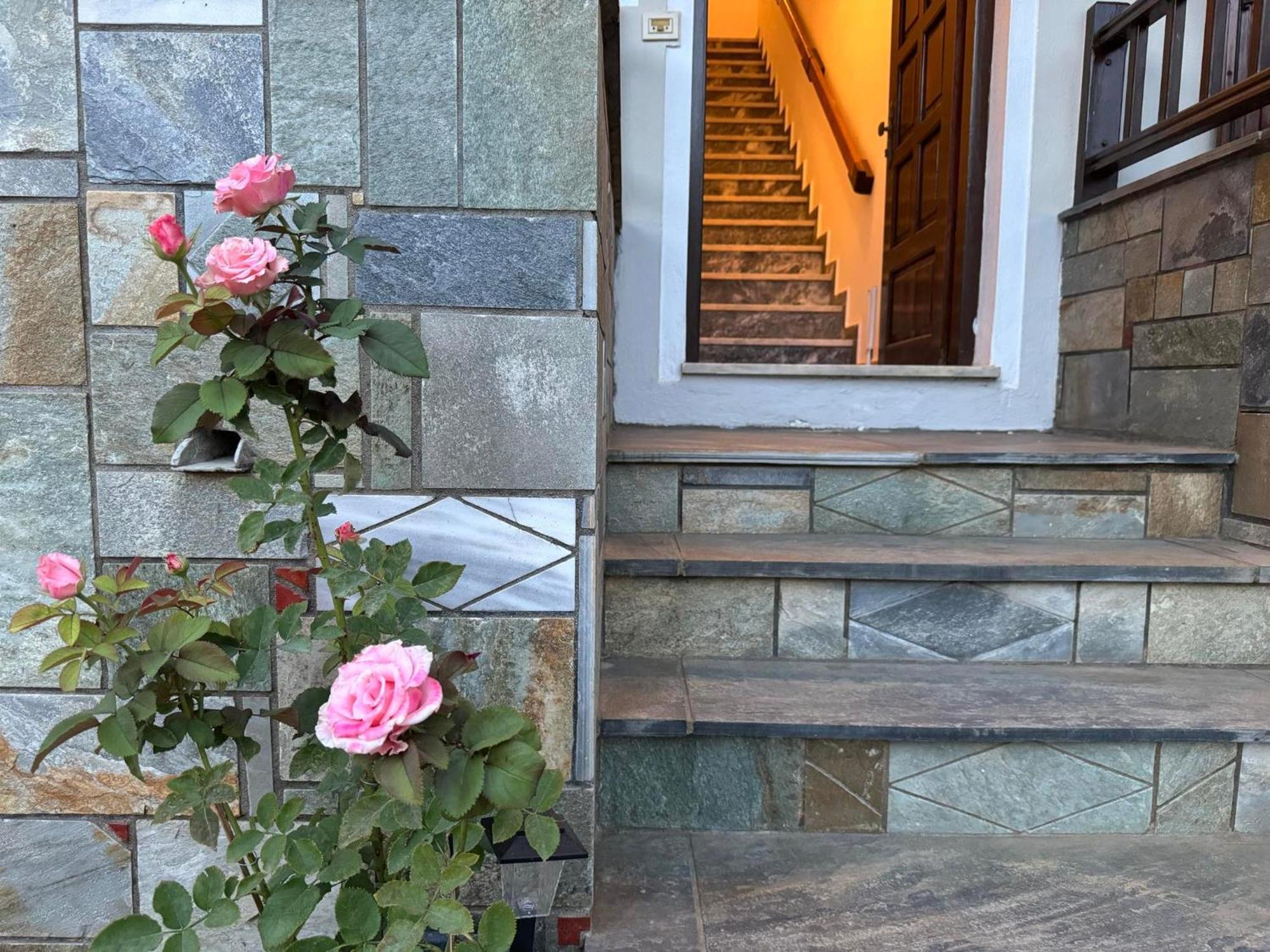 普拉坦亚斯Tanias House公寓 外观 照片